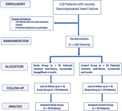 Safety and Efficacy of Adding Dapagliflozin to Furosemide in Type 2 Diabetic Patients With Decompensated Heart Failure and Reduced Ejection Fraction